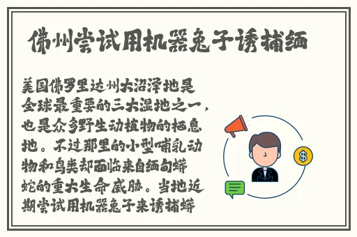 电磁炉是什么网络意思